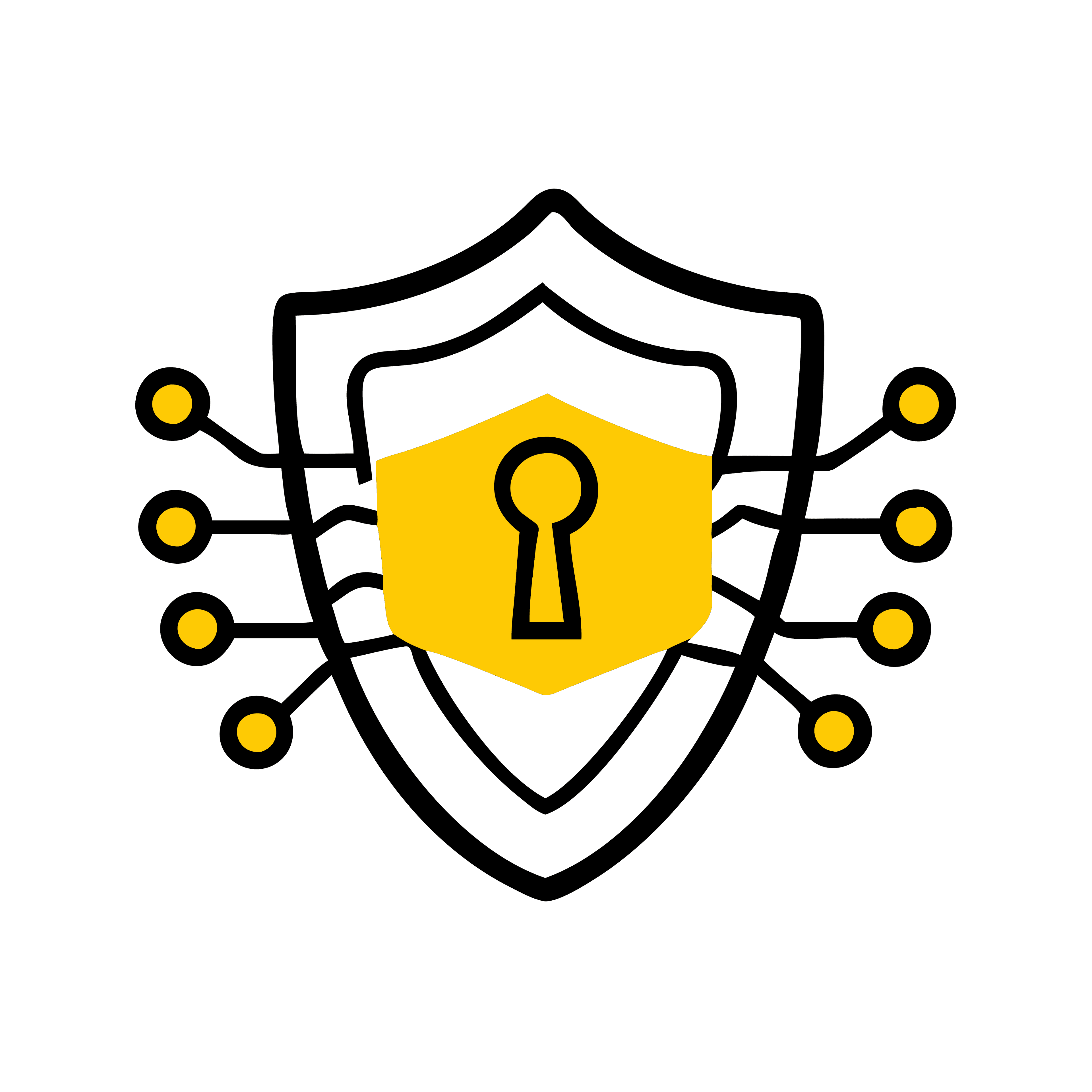 SSL & HTTPS Protection